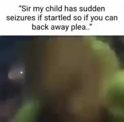 Grinchler