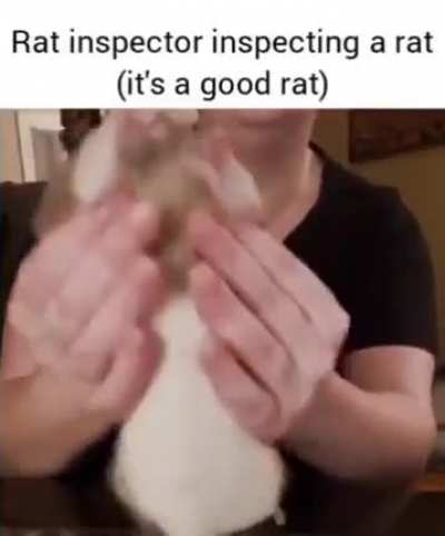 The good ending