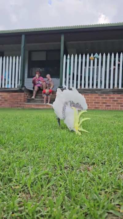 Play time!!