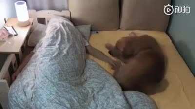 Doesn&rsquo;t matter how big the bed is, the problem will be the same.
