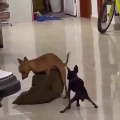 Doggy style