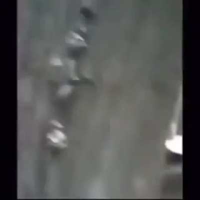 TRrraktor