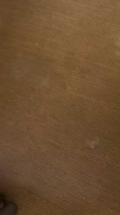 Spilled my coffee everywhere