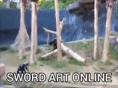 sword art online versao mamaco