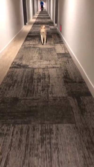 Hey, mom! Watch me! Did you see me?! Watch me again!