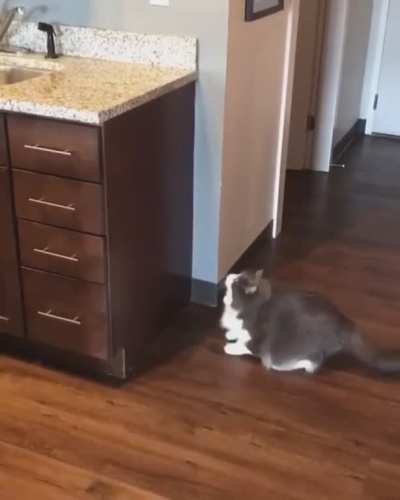 Let's try to jump