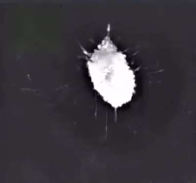 A neuron dying