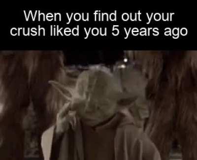 Daily shitposttt