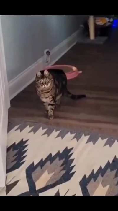 Omg!