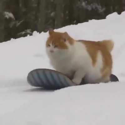 Extreme sports