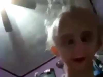 bisucit