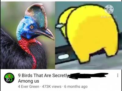 Fun fact: most birds are dinosaurs but some are among us