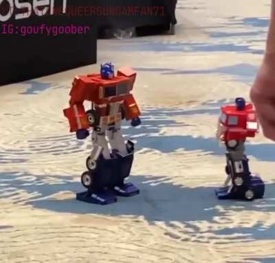 Robosen inferior, chonktimus superior
