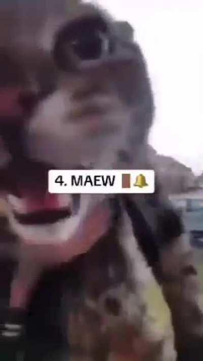number 10 got robbed 