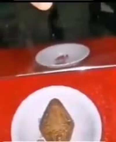 Does anyone know what this object is?