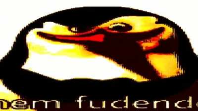 Nem fudendo