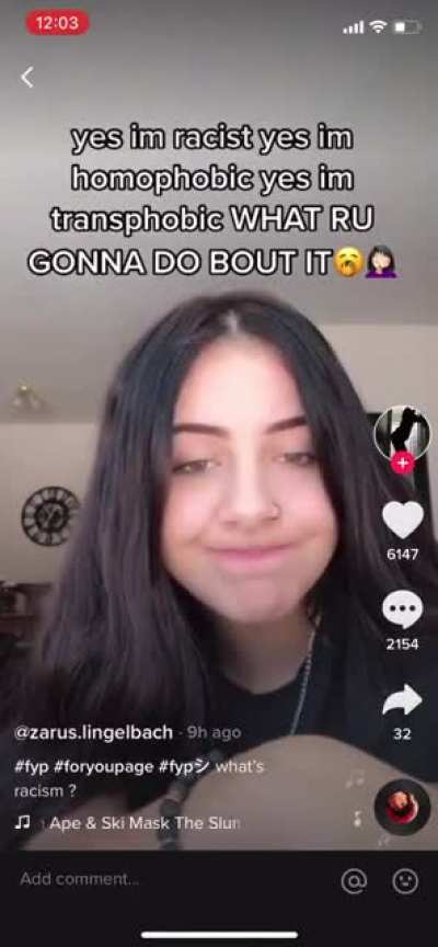 &ldquo;Yes Im racist yes im homophobic yes I&rsquo;m transphobic WHAT RU GONNA DO BOUT IT🥱🤦&zwj;♀️&rdquo;