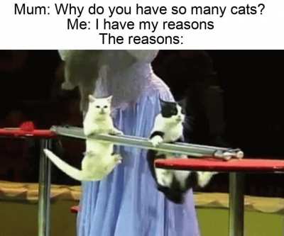 We're training