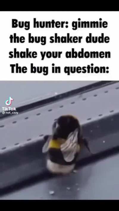 Bug hunters
