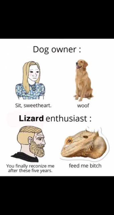 It&rsquo;s a one-sided relationship at times
