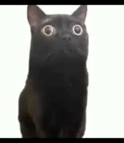 &ccedil;&oslash;ț