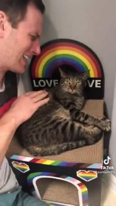 You just don&rsquo;t see any happy gay people. You just don&rsquo;t.