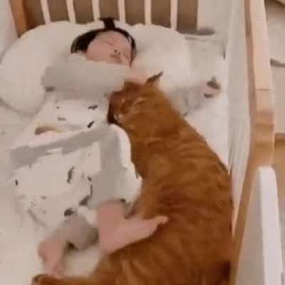 Chonky boi.