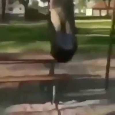 XD