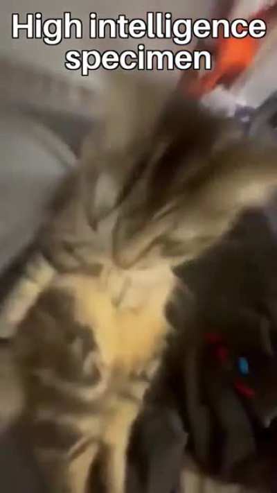 What&rsquo;s the song rule