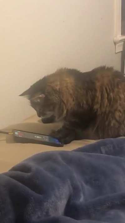 She herself couldn&rsquo;t believe that she catculated correctly.