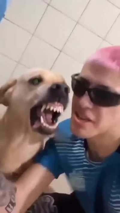 Maybe Maybe Maybe