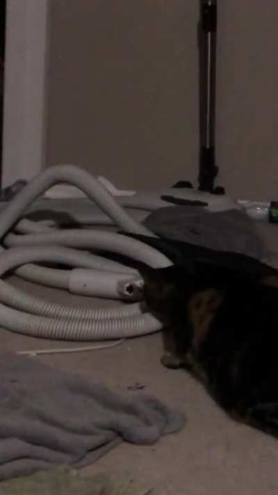 Mysterious and Dangerous vacuum that isn&rsquo;t actually plugged in