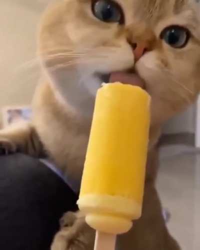 o_O