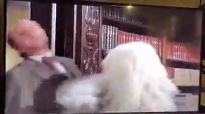 Greeting the owner!