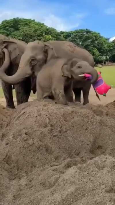 Playtime