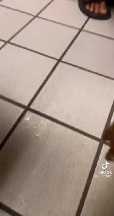 He really must&rsquo;ve had too pee&hellip;