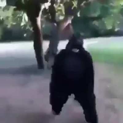 Facebook Quality