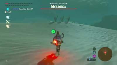 &ldquo; Alright, this looks like the spot for the Korok se- &ldquo;