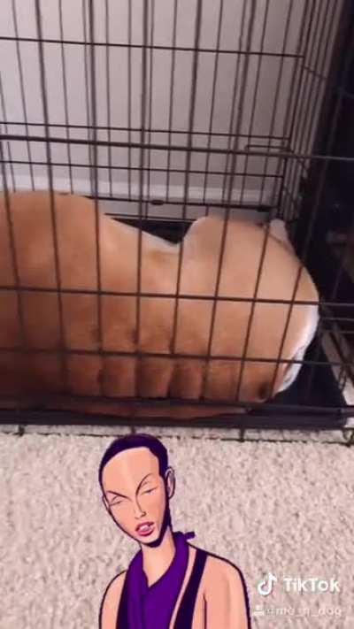 Back rolls?!