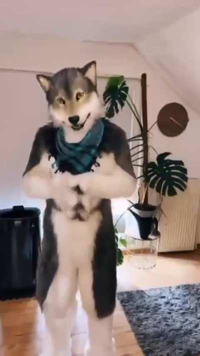 Furry✉️irl