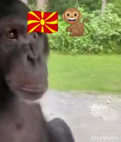 Monkeydonian🇲🇰🇲🇰🤩 getting driving license