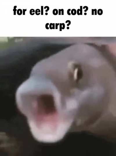 50524