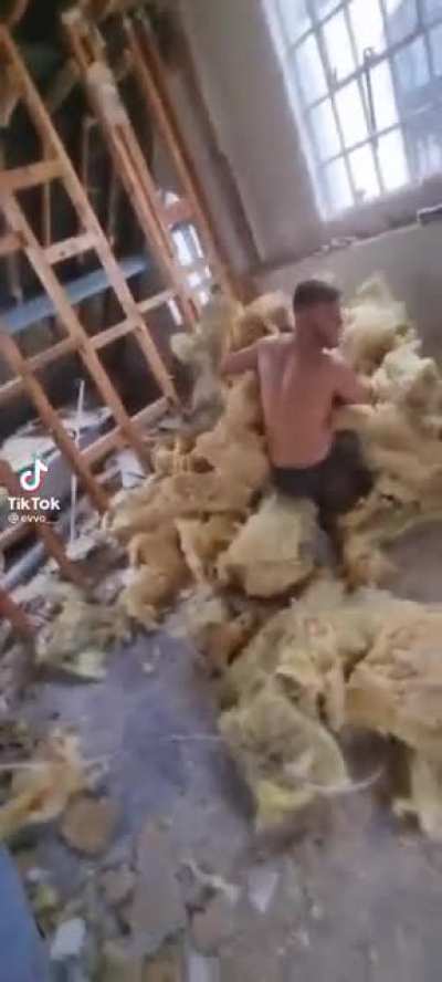 Darwinism at work