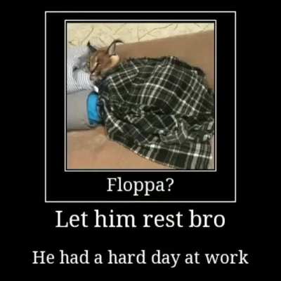 The homie is resting
