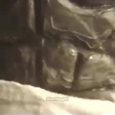 k&ouml;r olmak istemeyenler a&ccedil;masın