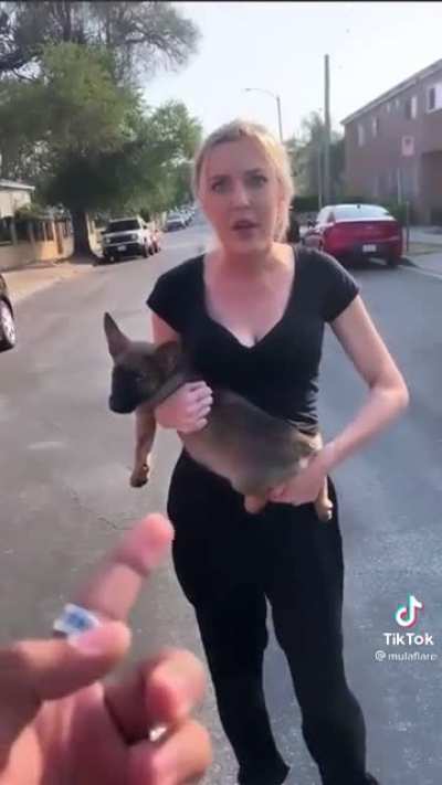 One year later: follow-up on puppy thrown by crazy woman at man