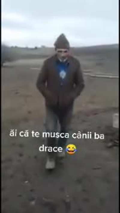 ai că te mușcă c&acirc;nii bă drace
