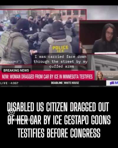 Disabled US citizen dragged out of her car by ICE testified before Congress