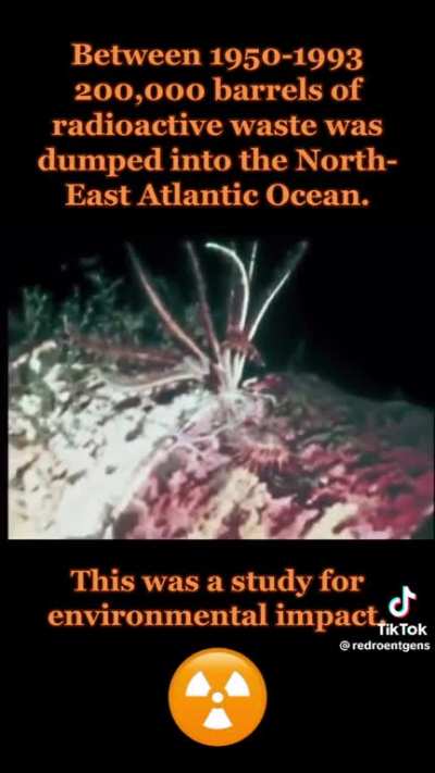 Between 1950-1993 200,000 barrels of radioactive waste was dumped into the NorthEast Atlantic Ocean.