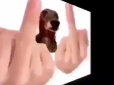ddddddddddddddddddddddd